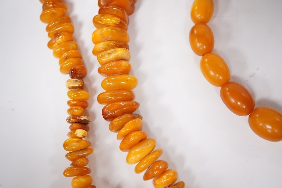 Three assorted amber necklaces including a single strand graduated oval bead necklace, 40cm, gross weight 37 grams, the other two necklaces gross weight 240 grams. Condition - poor to fair